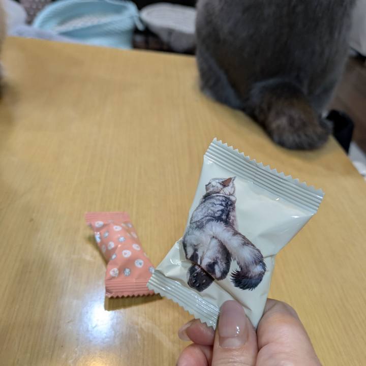 87c0ae2f 0414 4709 ae1c 417ce2fd32ad 1768052645330