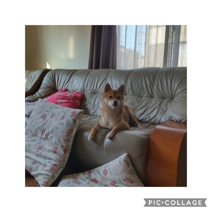 87c0e19b fc4b 4fd7 b4ca e33414c72d2a 1664578852248