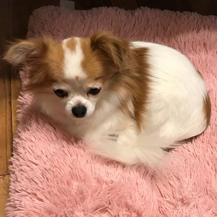 87c0f5c7 6fc4 4b15 b477 371840947874 1537175040725