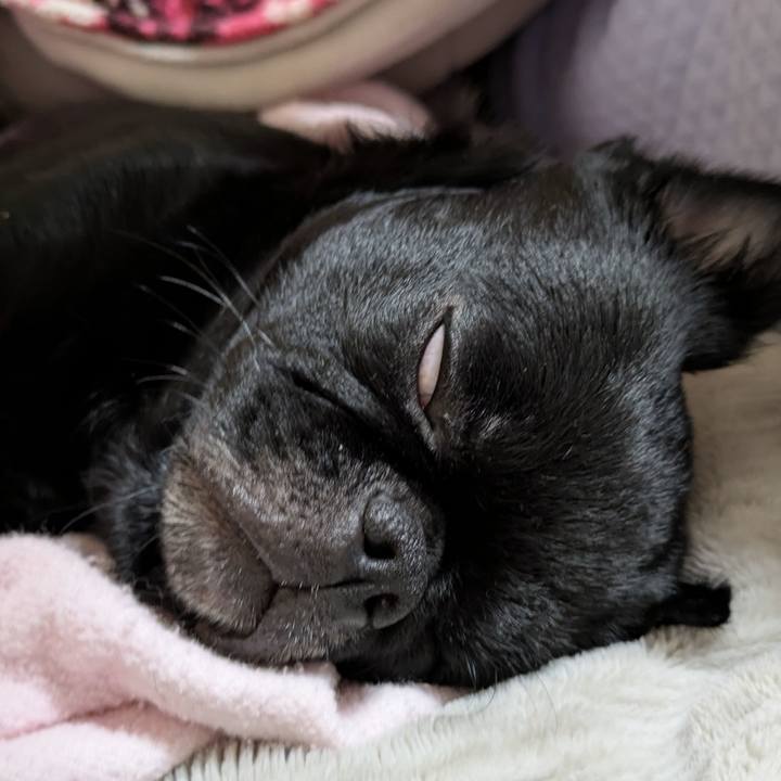 87c11a48 380f 46ad 9250 b2b3178eaa66 1765465354369