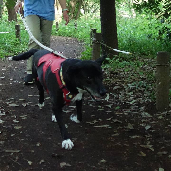 87c13bcd 9e26 4a7f 86b9 04c9599107d1 1684375099655