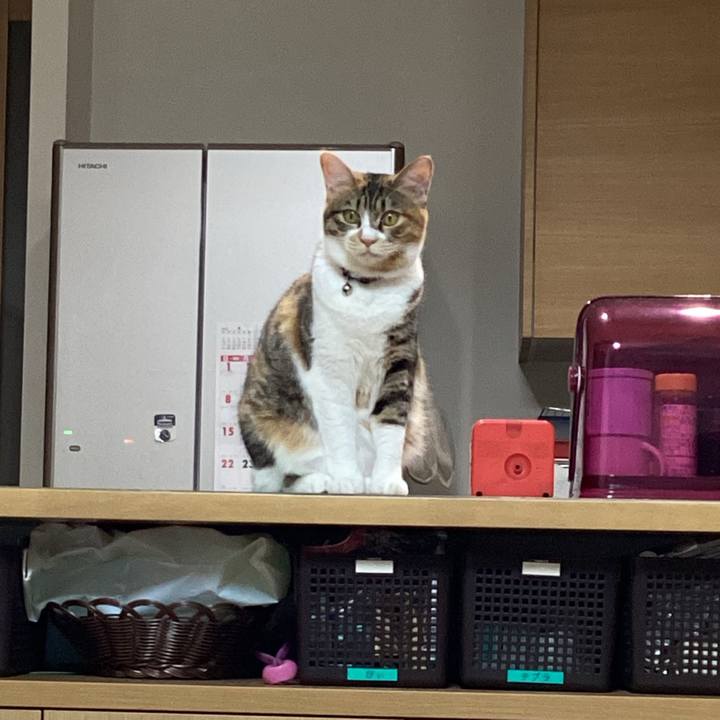 87c13fe1 20b8 4dd3 b6c9 a6b9cfe60fcf 1652672650658