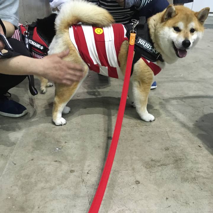 87c196ac 845b 4e6d 93a4 e47040af579a 1556871190127