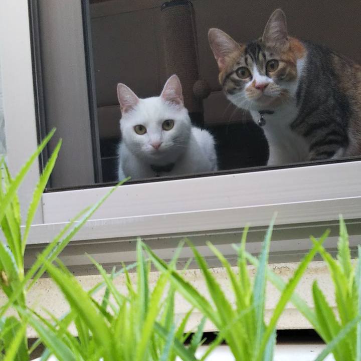 87c1c54a 0e06 4d79 a81b 52bb36348ce7 1656708394952