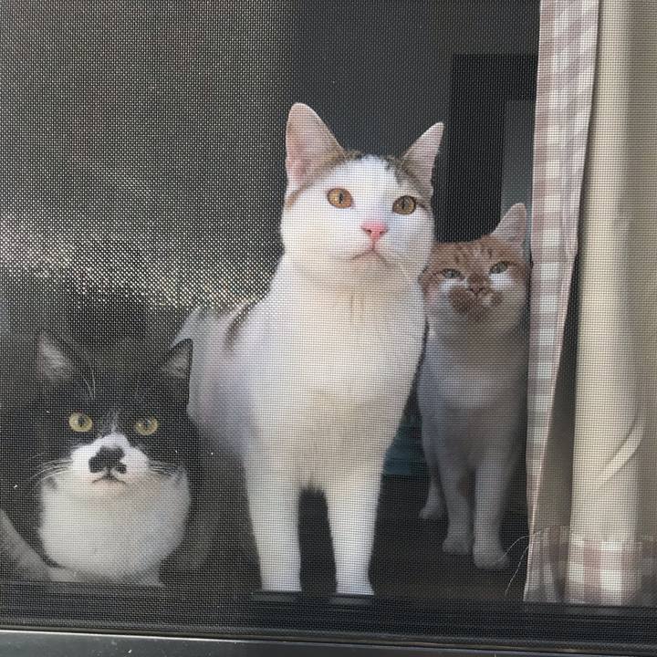 87c1d2e8 c4ce 4a5b b76a e85f5d2c9563 1616827929302