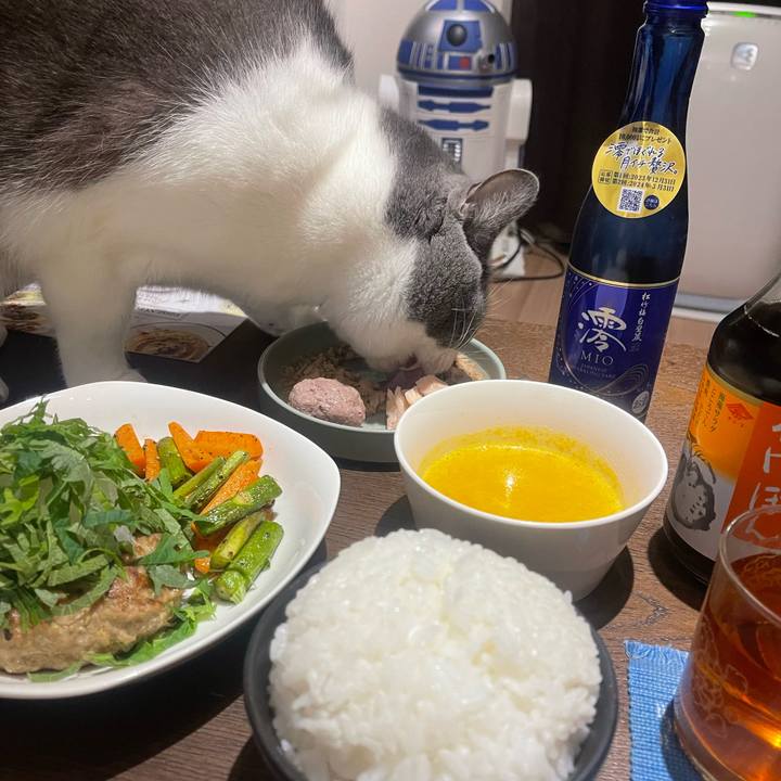 87c1f1ef 118c 4528 9799 8ff8ca1482eb 1703153698792