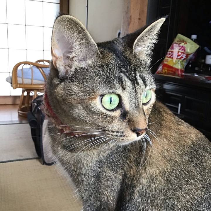 87c2572e 3fbf 48eb bf96 9fdc9ffe6578 1630901031032