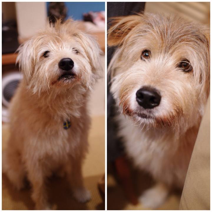 87c258c3 f866 4aac bee5 5ff65757e87a 1541729735774