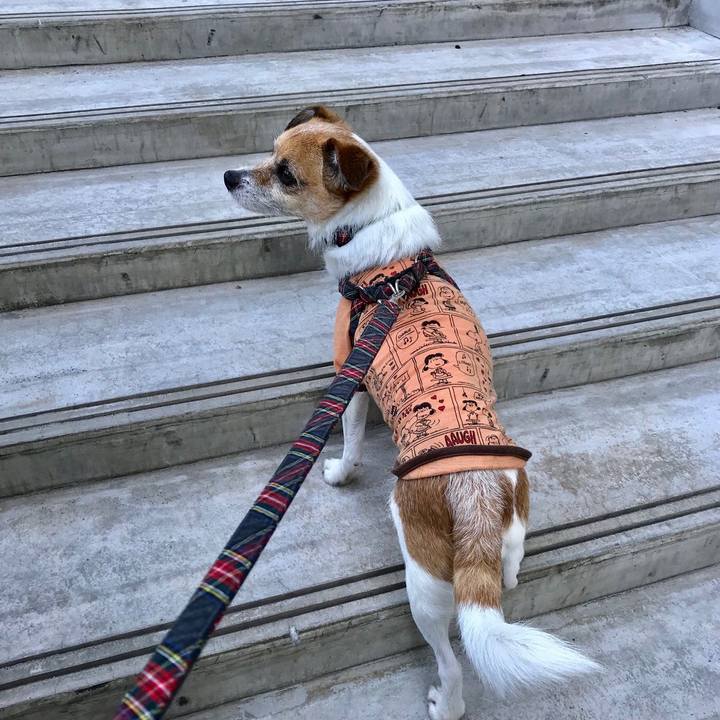 87c27b18 f840 4678 8aac d8dba3160121 1558823859282