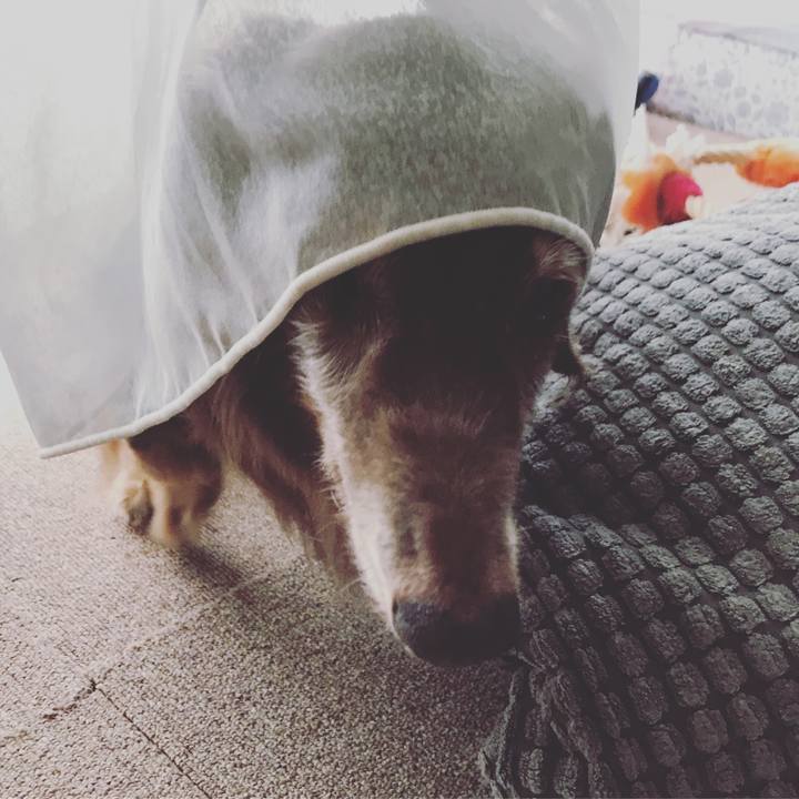 87c288bb 2aa8 4e0d 886a 34781ece077f 1594857464336