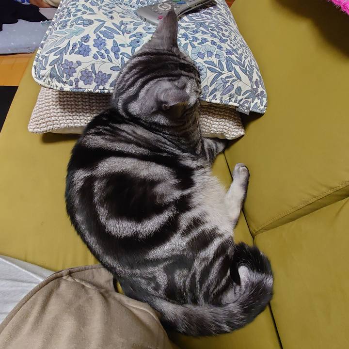 87c29426 77ee 4abd ac38 a731a0af278c 1636371346007