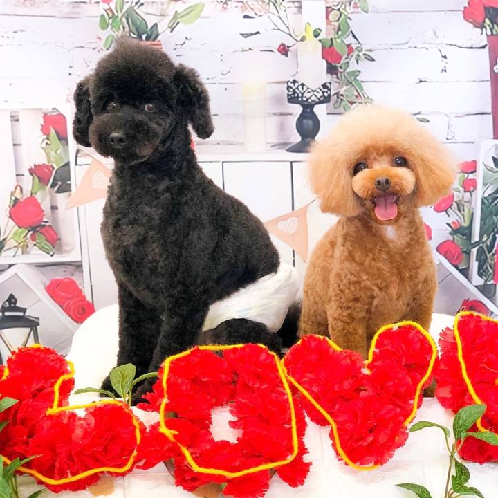 87c2a243 9952 4a39 b0a1 0a0f3b1dfcee 1651833727271