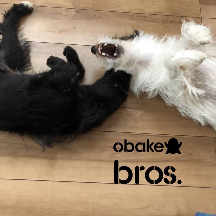 87c2a953 b93b 48be 9ffa b0207634e174 1537484137956