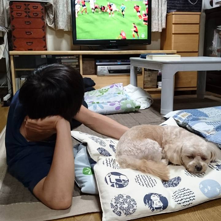 87c2adcc c5e0 408a a165 40b0a7da544a 1569496525275