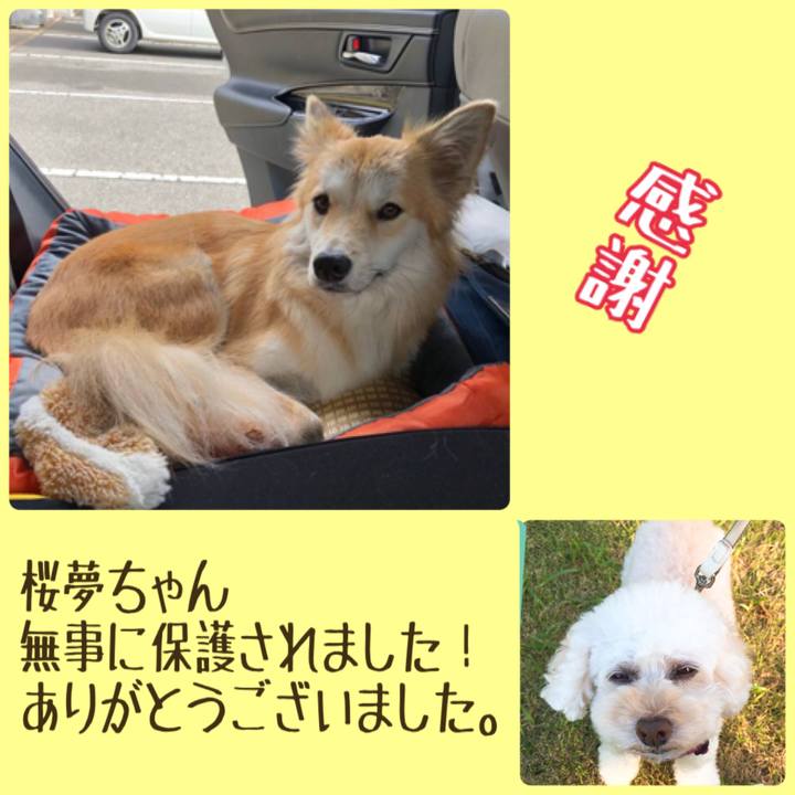 87c2b936 1de2 475d 8cc3 451c727a5b60 1542856177103