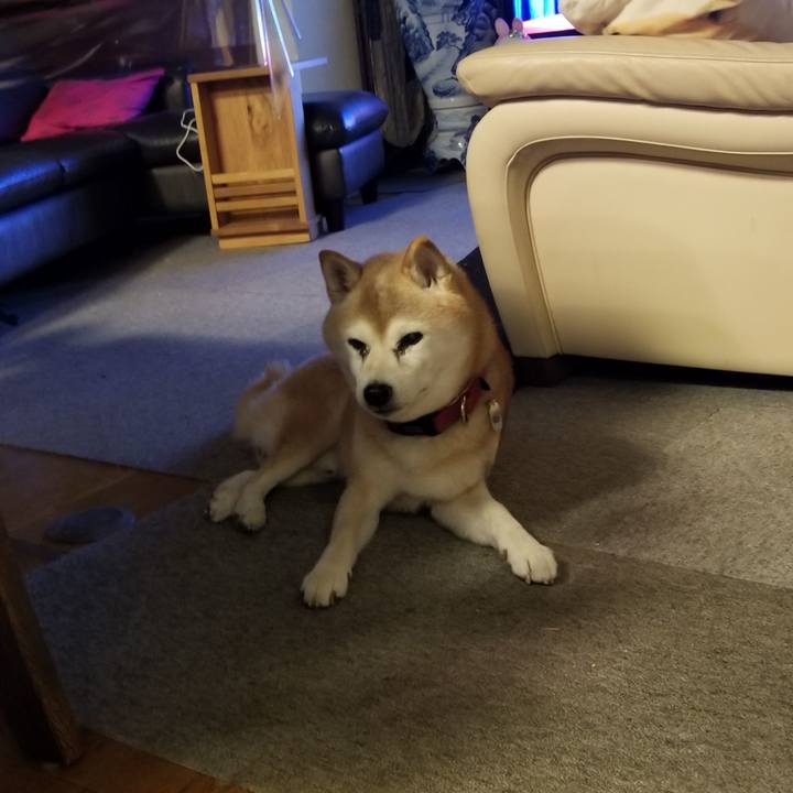 87c2e675 88f2 4b65 8282 a6ca27d8e6a9 1760256854237