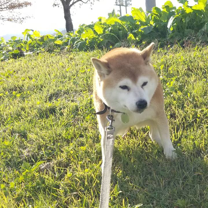 87c2f9ad 8e4b 43e2 bf35 b2b1091a78a3 1635398970624