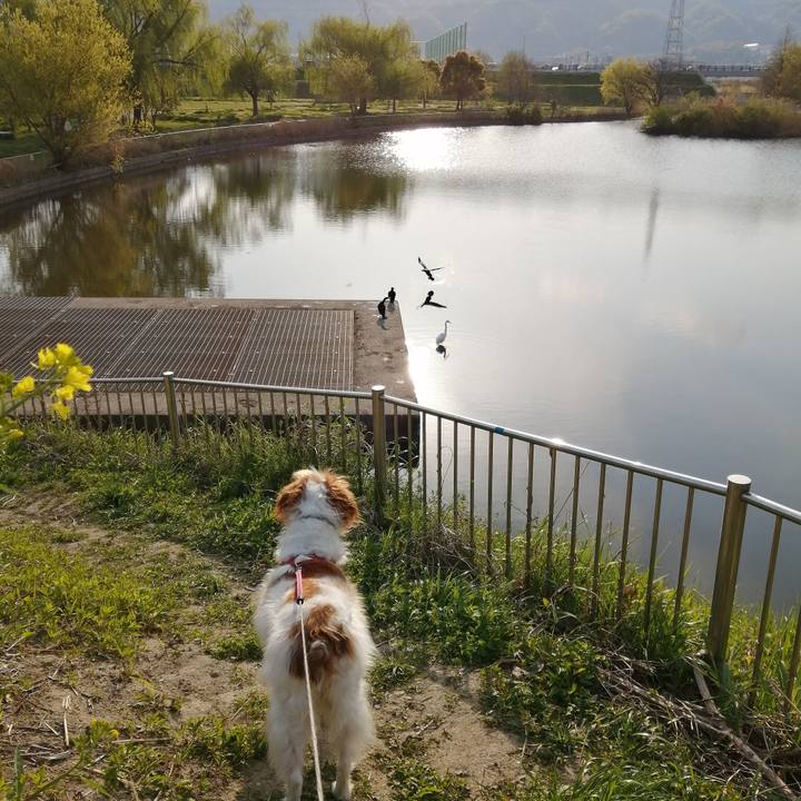 87c35760 a837 4c2c ac10 54e2c636ac14 1586476212645