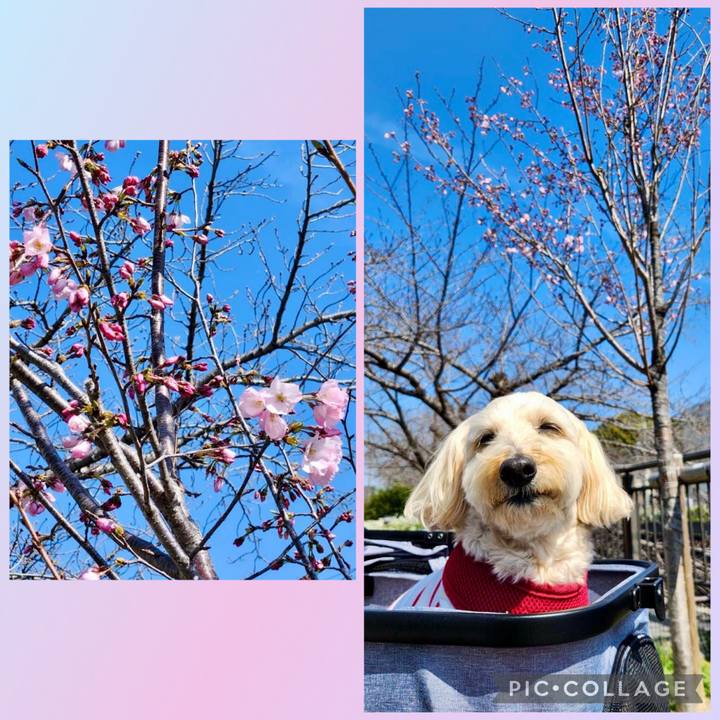 87c36078 aa92 4f8e bbab 1ce2313a2ba2 1773724846213