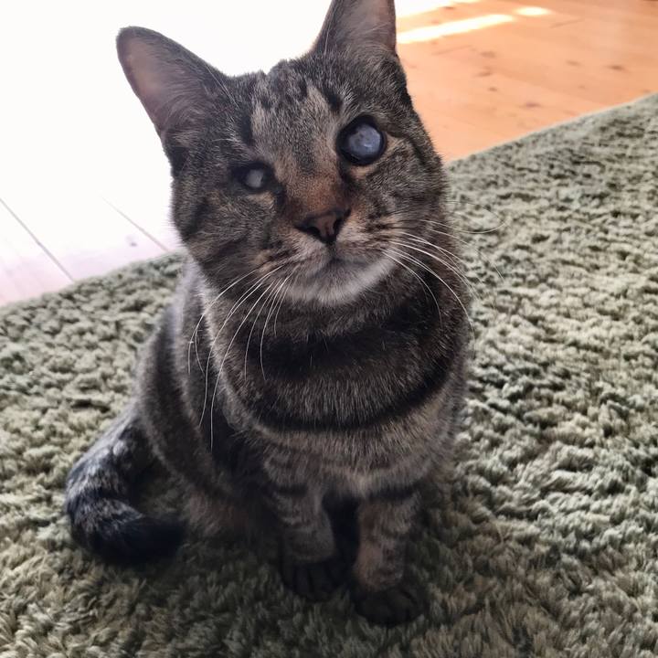 87c3aa0b 2fe6 4095 906b 09503cee0a2d 1580875945306