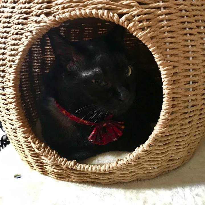 87c3af89 1b09 440d 9d4c 2767e42e713d 1555979913630