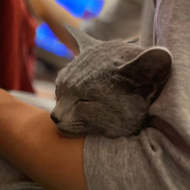 87c3ca04 12eb 4912 91b0 ebb0ba8a80f4 1608729121424