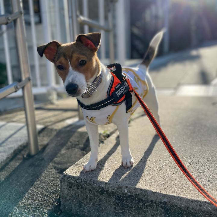 87c3dcf0 3235 4ced 8f0b 4996f859bcf6 1687008717255