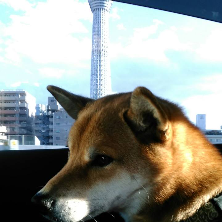 87c3e447 6d0f 41c8 90f1 e730914c63a6 1514268023710