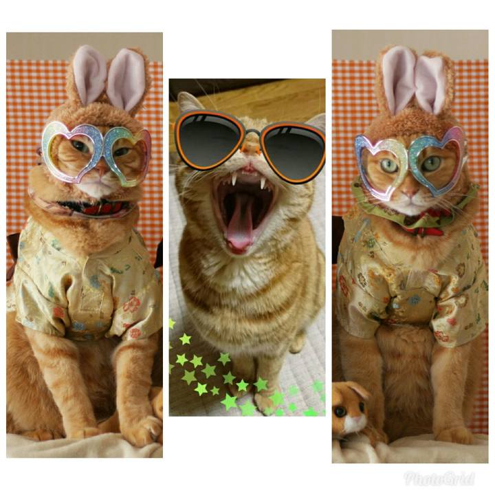 87c3eb85 9468 46b1 9af1 bbc1091e284c 1537248091954