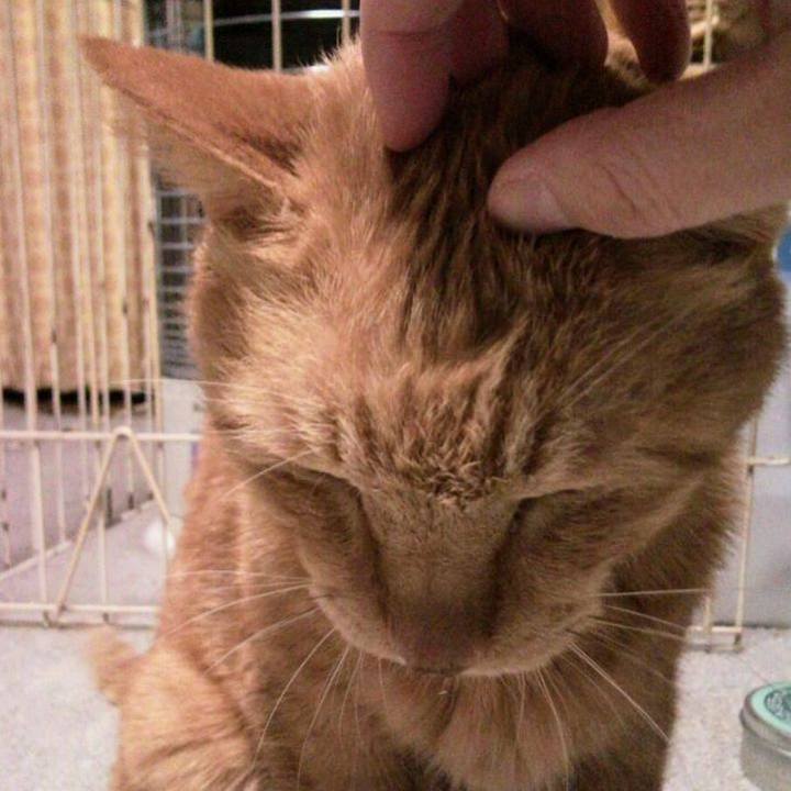 87c4011f 5d0e 4e1b a217 c60528104a2a 1680316877193