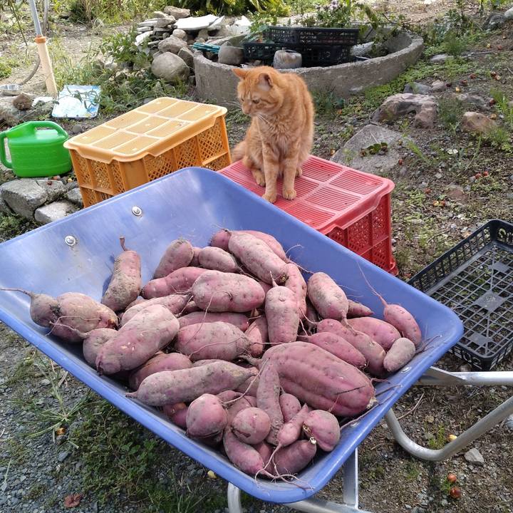 87c4ecc7 ca5c 475b 9609 ec5f71bc1ea0 1695440433761