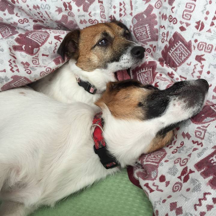 87c519e4 2f17 45f3 94d0 6df4976202a0 1546318126391