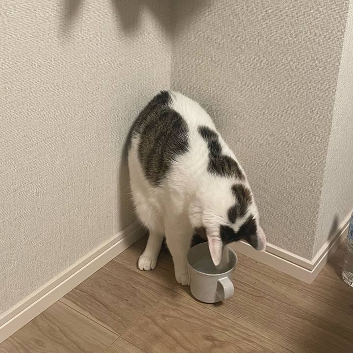 87c51aec ef7a 4fd4 b1f4 4873dc4a0523 1772684072877