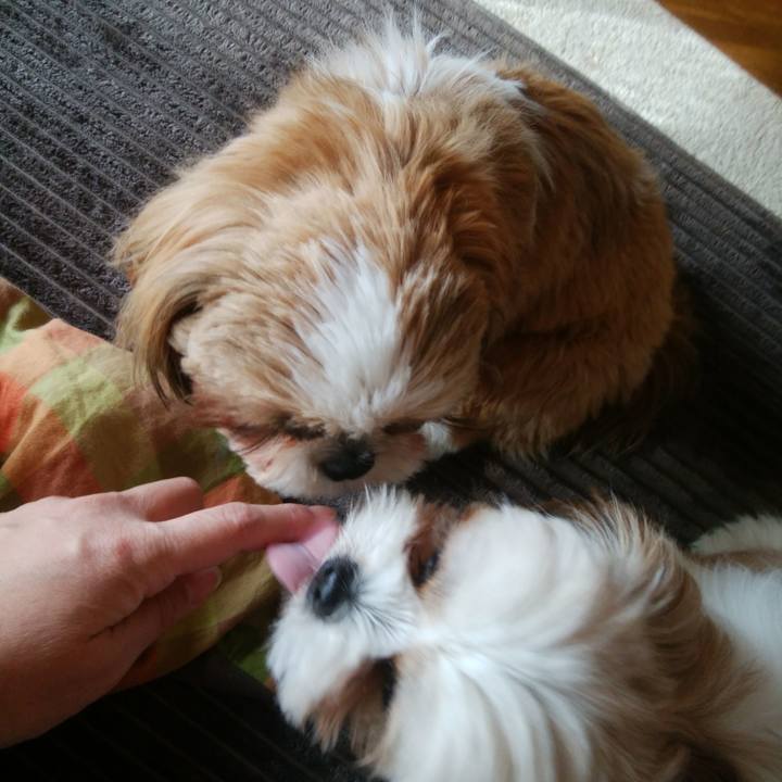 87c527f9 018d 4e63 a76d 06bf3ea90849 1547515107697