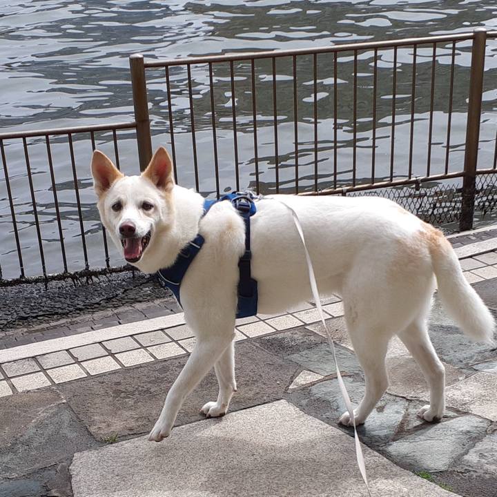 87c54a19 1262 4e15 9b1a 2e494e05334c 1681618502766