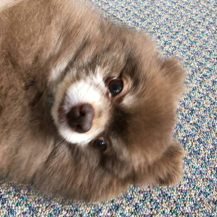 87c58e25 714f 428a ba40 1718b2556ef0 1563239860966