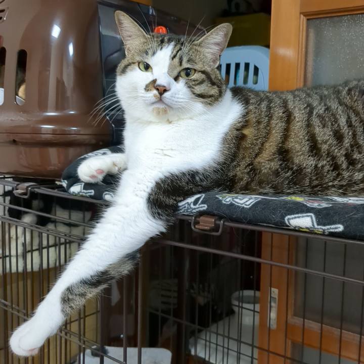 87c59737 e902 4d1e 8c2d e6025fae1047 1666006787514