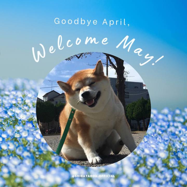 87c5c208 7758 40d6 bbf8 852a1c6de8ae 1651038071536