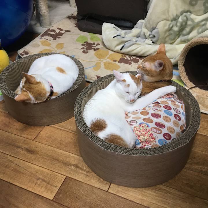 87c6151f 5c0c 4809 aa70 8480cfe09952 1520256963598