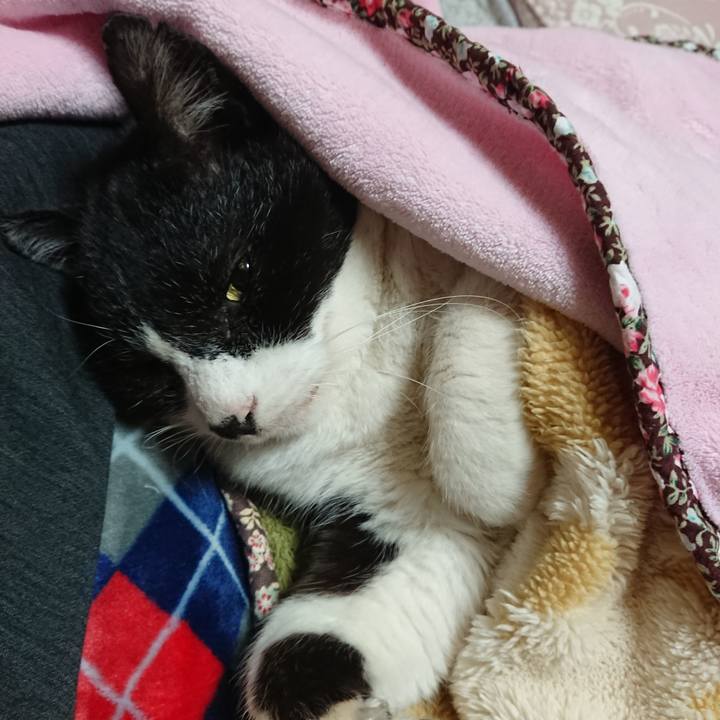 87c62659 8094 439e b1c6 a44d7600632f 1674899748743