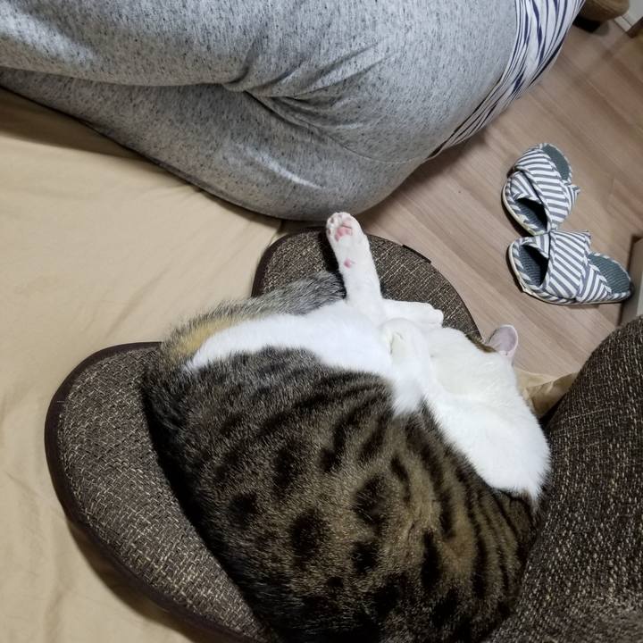 87c65f96 7582 4f33 b10c f84fe5a91879 1613298930358