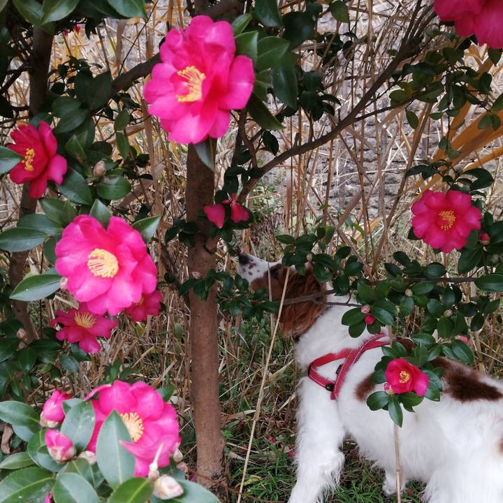 87c669af 211d 47a9 a19e f256c51ef452 1577360250648