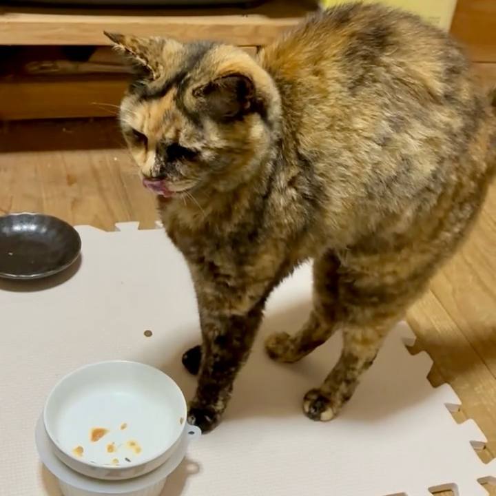 87c67c36 9be9 4f61 964e c059295fedb4 1745315329174