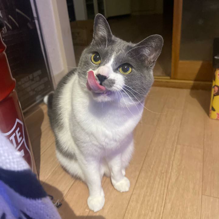 87c68319 54af 4bec ac6e 56e67b1cdb0e 1682859808928