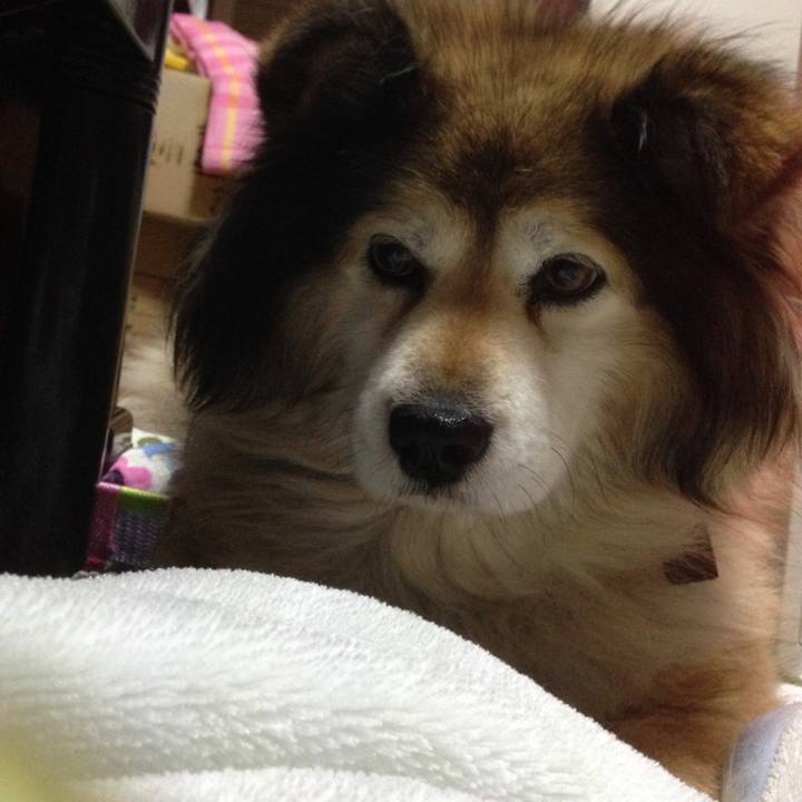 87c6d13d 2e0b 4f40 8314 1790e3afb0fe 1627608302705