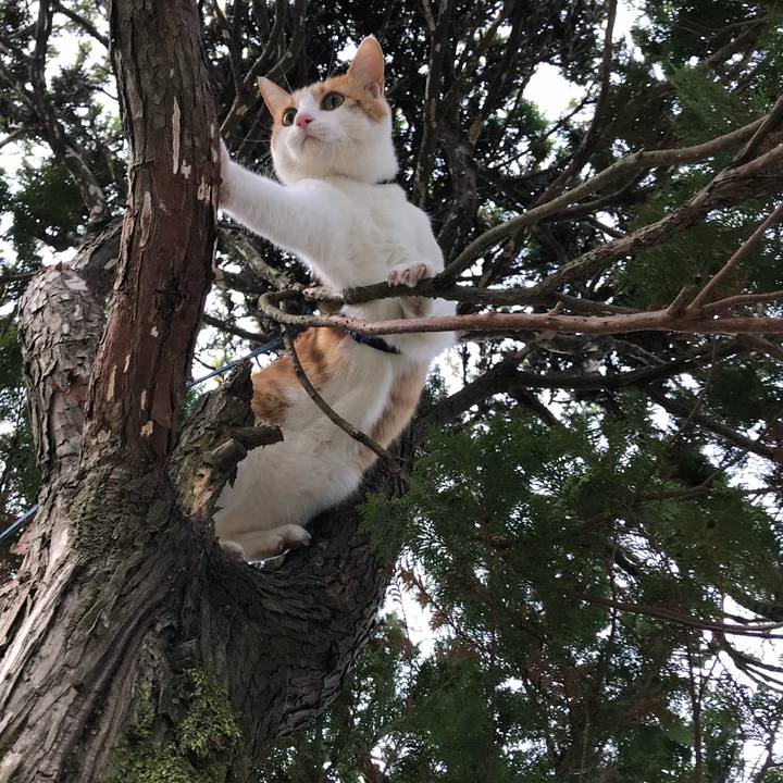 87c6ee5e 2c48 4037 8782 00f82463eaed 1511332690716