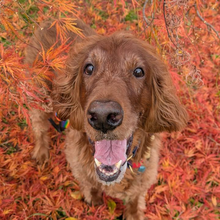 87c6ffe4 2414 4927 9787 8e73e4861508 1763037308161