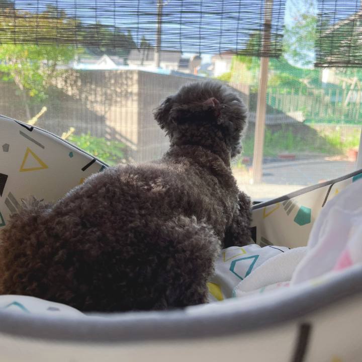 87c71861 d1c8 4ae3 97d9 fb3d92d5e10c 1690840987943