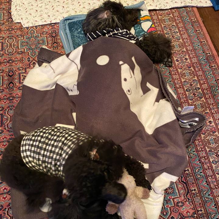 87c71907 26d8 4904 a0b6 973de9f193d6 1606144036946