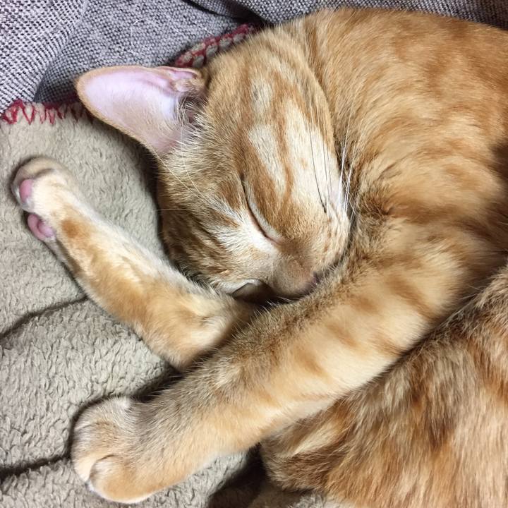 87c73f8b 05a8 400e a624 6953c5419132 1510414812016